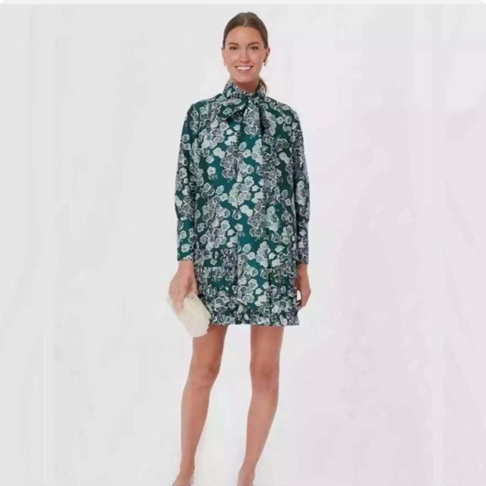 Tuckernuck dress